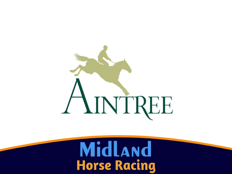 Aintree Grand National - 2 Nights - 1 Day Racing  (Coach & Ferry) Limerick Route